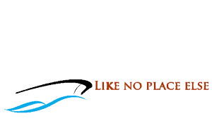 Nouka Restaurant Logo